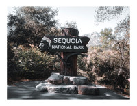 Sequoia National Park 2026