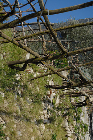 Thatch in Amalfi Coast