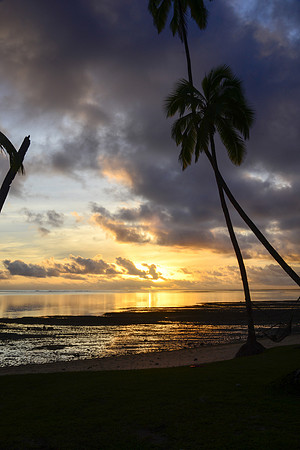 Fijian Sunset with Palm Trees