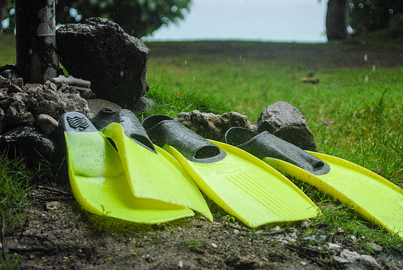 Fiji Flippers