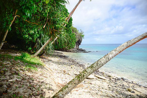 Fijian Beach